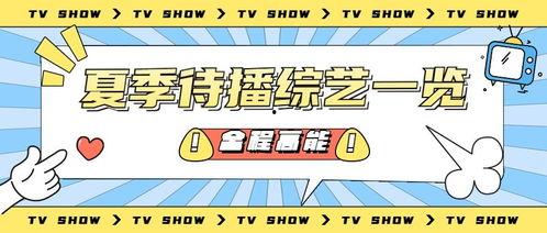 娱乐吃瓜号233,揭秘娱乐圈那些不为人知的幕后故事
